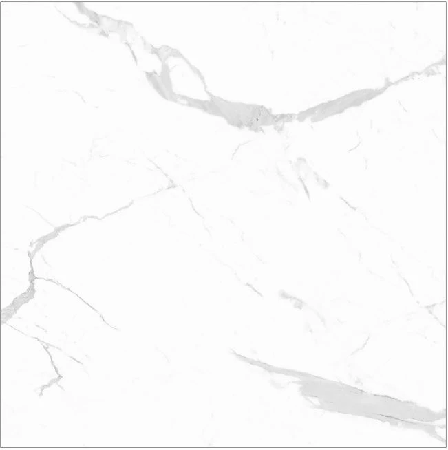 سرامیک بیانکو سفید مات 120x120 زیگما
